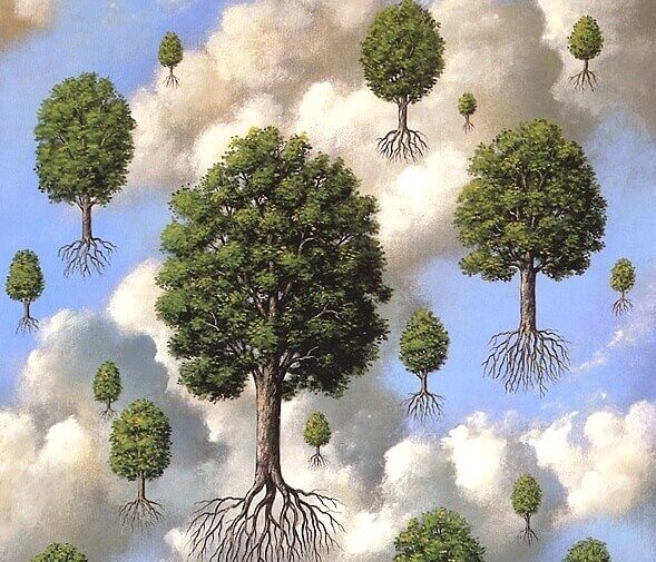 árvores com raízes