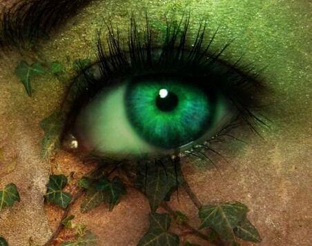 olhos com folhas