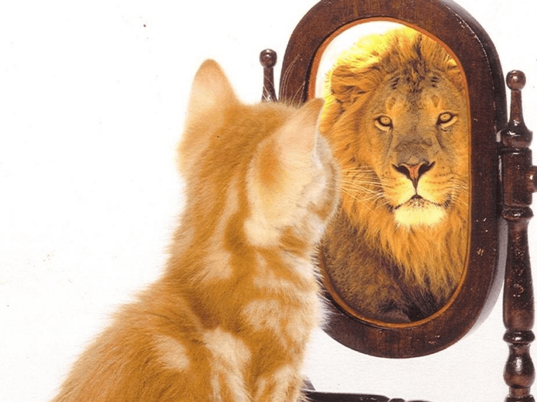 Autoestima e ego: com qual ficamos?