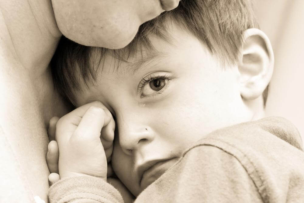 laços familiares laços familiares