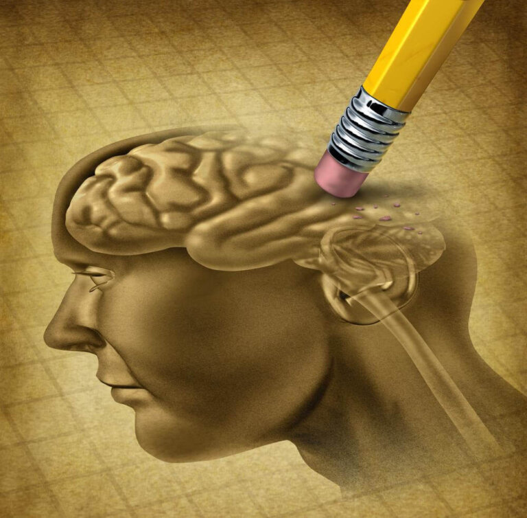 Seis ideias para treinar o cérebro e evitar a perda de memória