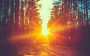 Na felicidade pode haver tristeza