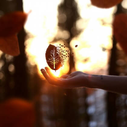 como lidar com a insegurança