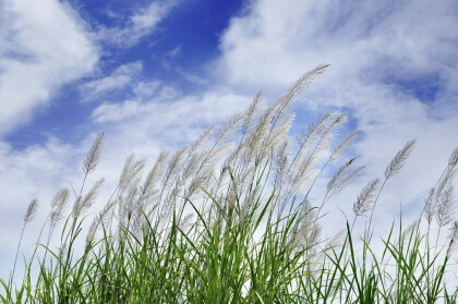 Como detectar o fim do encanto em uma relação