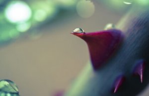 Conheça 5 comportamentos que acompanham a intoxicação emocional