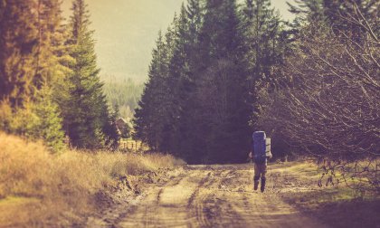 A resiliência e o aprendizado que nasce do sofrimento