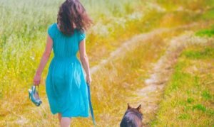 Presentes que recebemos dos nossos cães