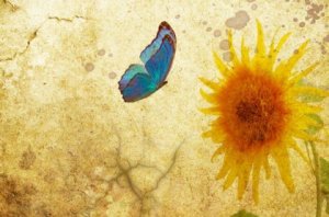 Recomeço e sorriso novo