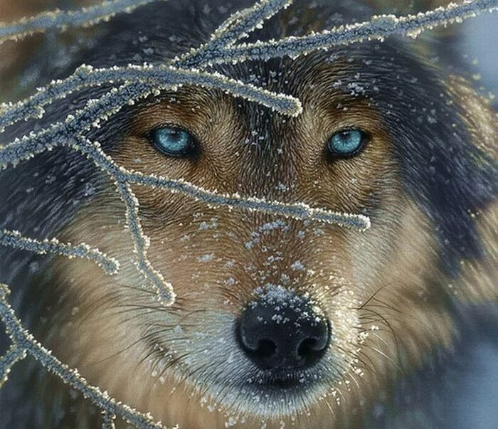 o lobo dos meus vazios vazios