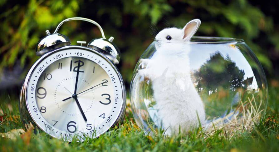 5 minutos 5 minutos