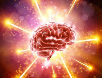 cerebro