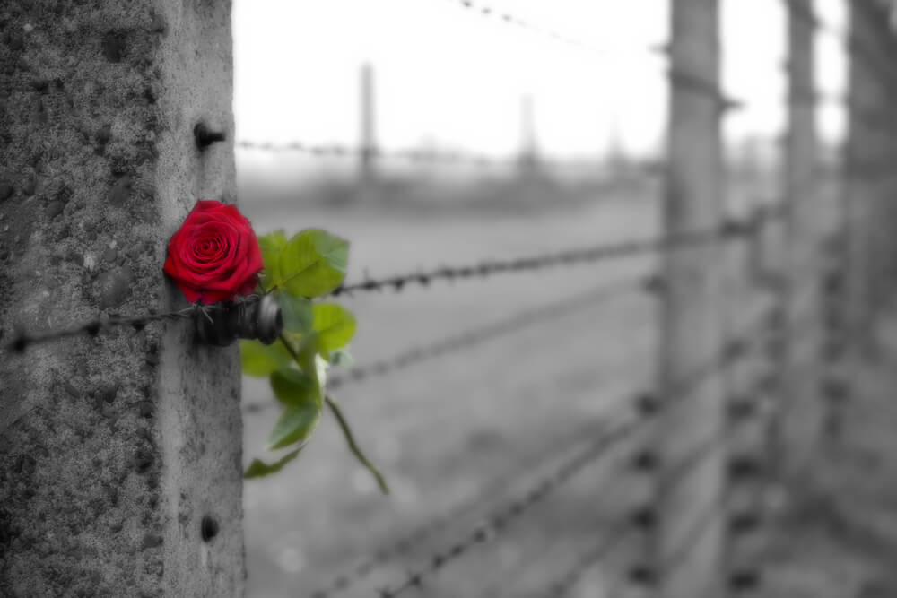 amor A força e os limites do amor