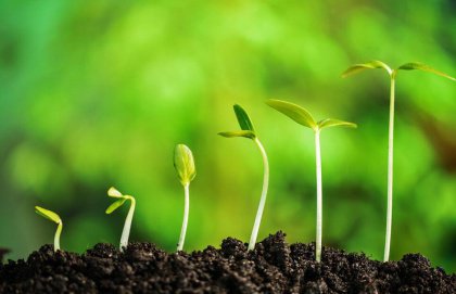 Supere os inimigos dos seus objetivos e alcance seus sonhos