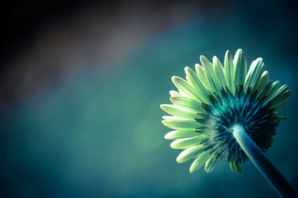 Os erros do passado e a sabedoria do presente