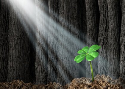 Os erros do passado e a sabedoria do presente