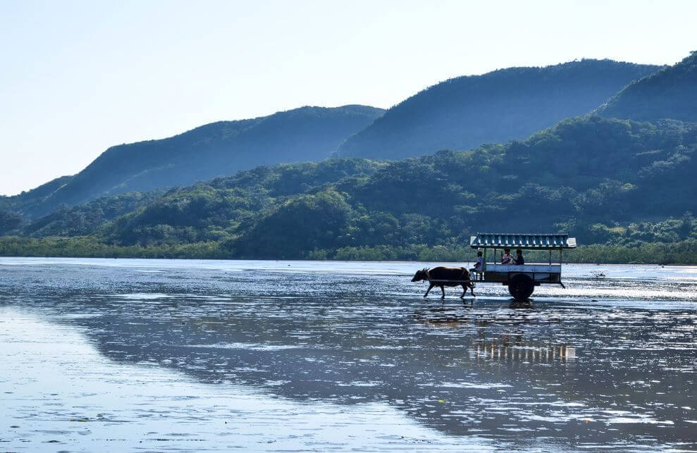 O segredo dos habitantes de Okinawa