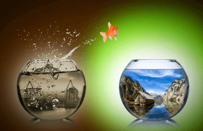 Vale a pena recomeçar