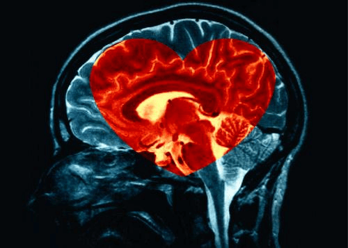 Confie mais na sua intuição do que na razão