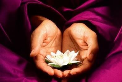 Mãos com flor de lótus