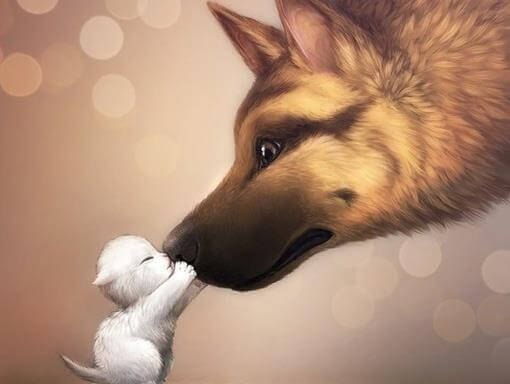 Animais de estimação juntos