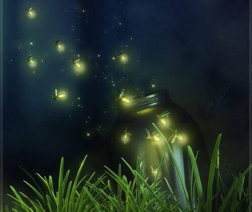 vagalumes-fugacidade