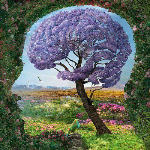 Cérebro natureza