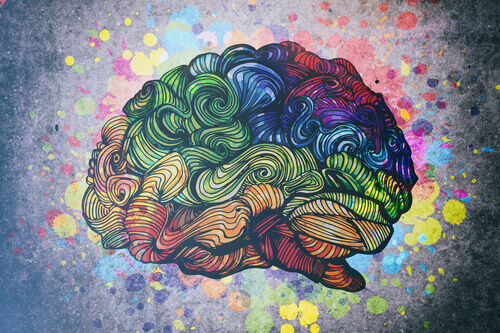 cerebro-colorido Os tipos de inteligência representados pelo cérebro