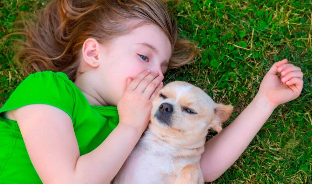 Menina cochichando para seu cão