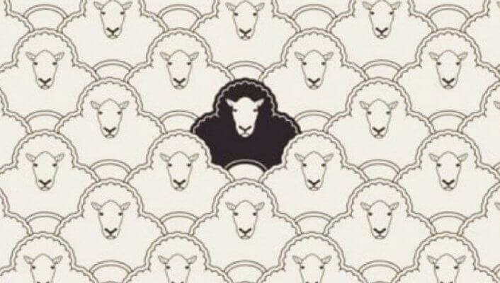 ovelha-negra