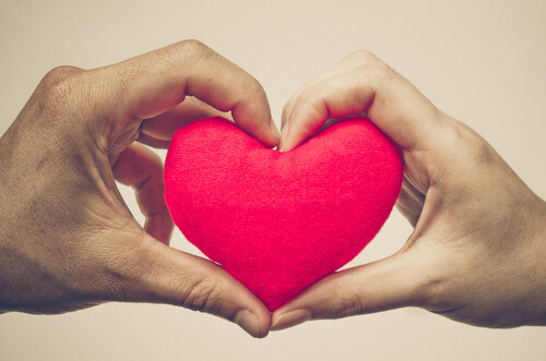 amor Amor