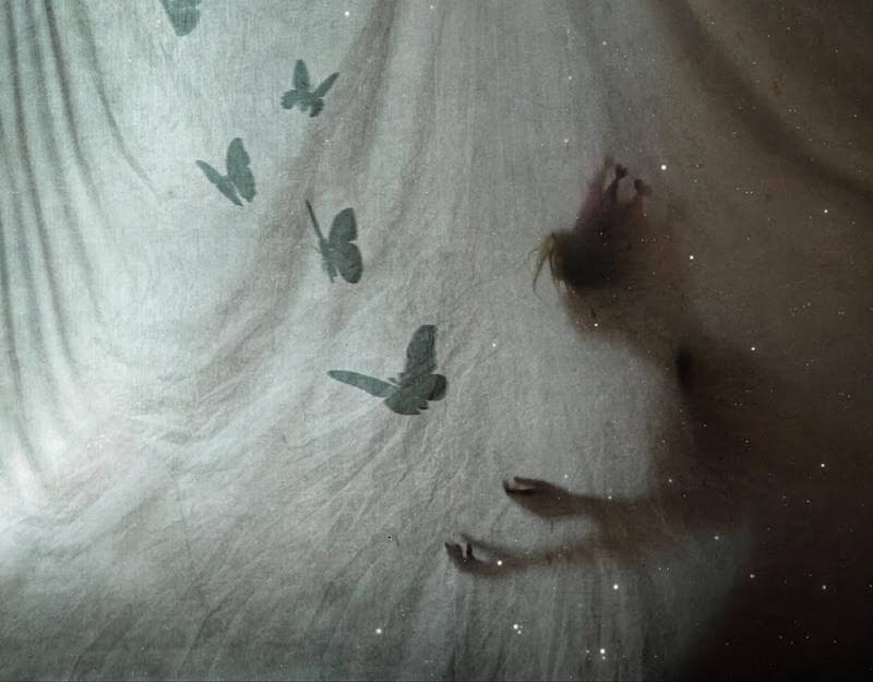 borboletas-e-pessoa-cinza