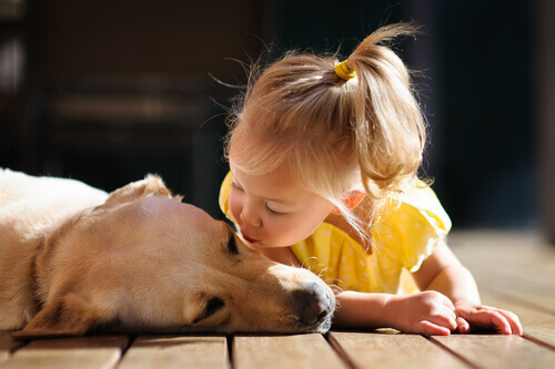 criança amável com cachorro
