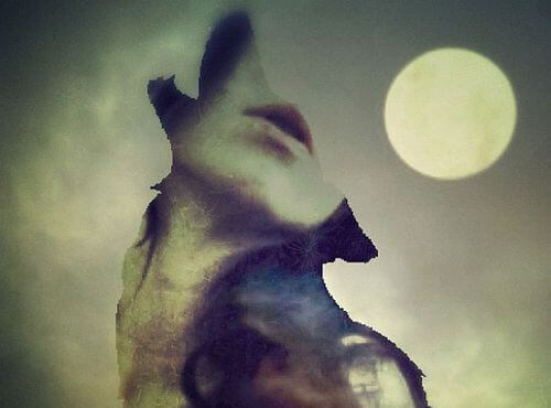 imagem-de-mulher-em-lobo