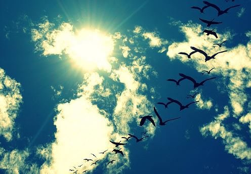 apenas-respire-curta-metragem