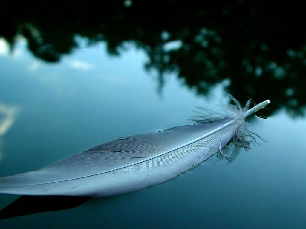 pena-em-lago
