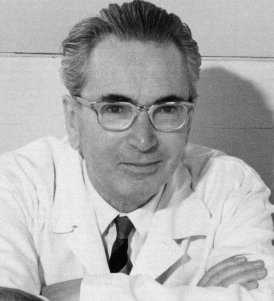Viktor-Frankl 10 lições de Viktor Frankl sobre a adversidade
