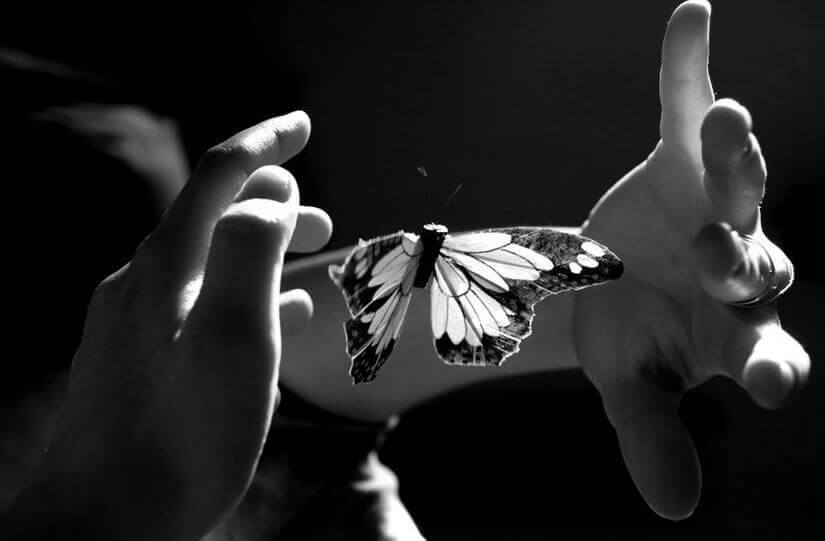 mãos-borboleta Frente a quem só procura criar discórdia, use o silêncio
