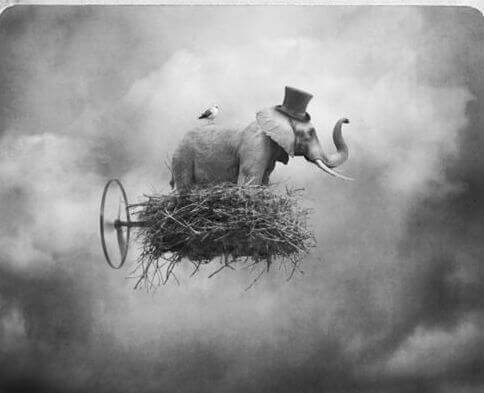 elefante em uma nuvem