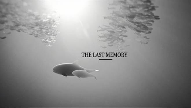 the-last-memory-curta Curta sobre o oceano