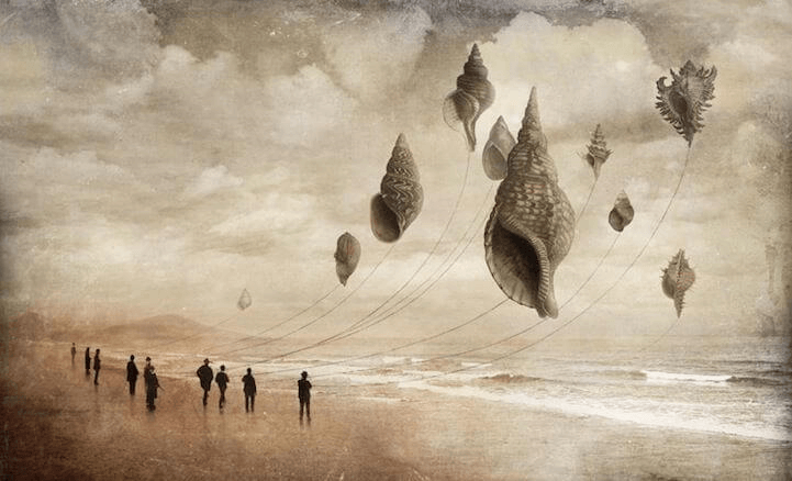 pipas-de-conchas-na-praia