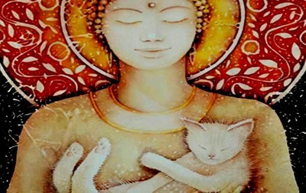 gatos-buda
