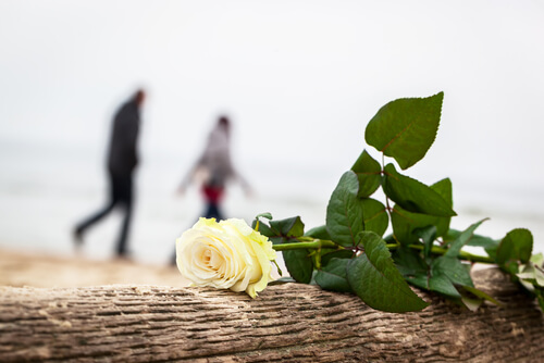 Lembranças de um amor que foi embora de sua vida