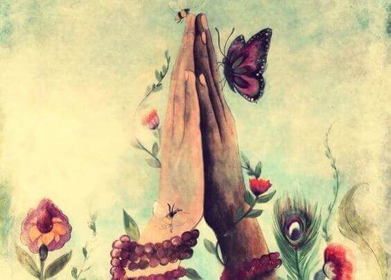 rezando-borboleta