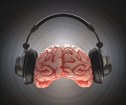 Cérebro-ouvindo-música