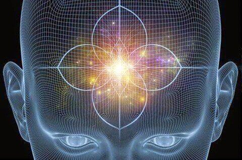 cabeça-glândula-pineal