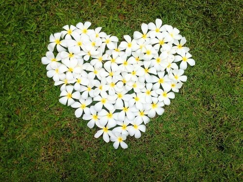 coração-flores