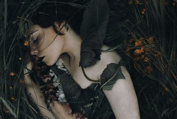 menina-ferir-arbustos