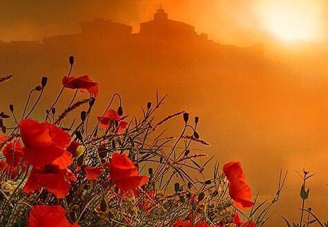 paz-tomar-decisão-certa