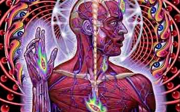 glândula-pineal