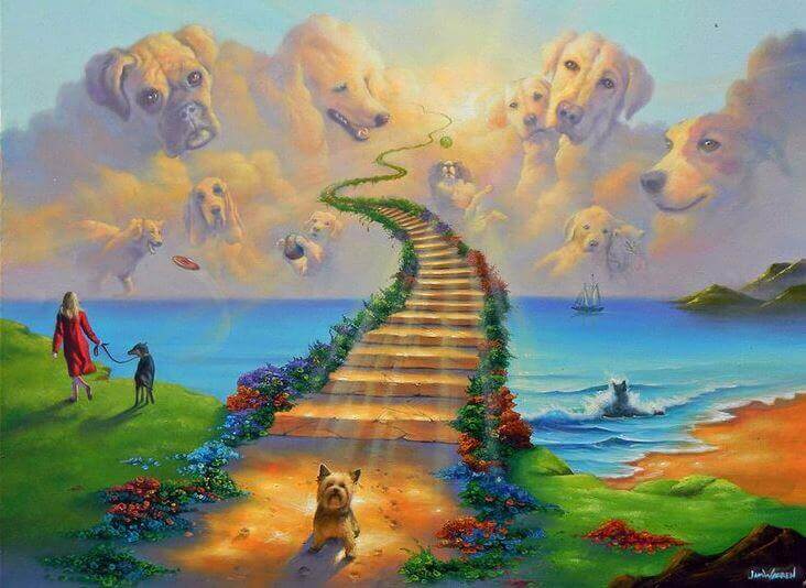 A lenda da Ponte do Arco-íris, o céu dos animais de estimação